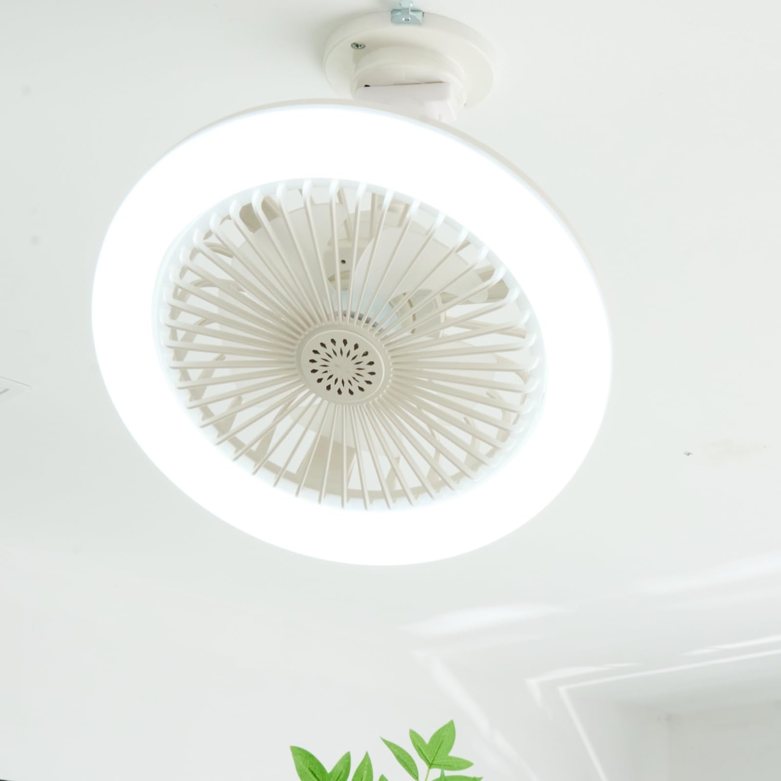 【新品・未開封】SUKITEN シーリングファンライト　LED　ファン付き照明 Amazon.co.jp : SUKITEN シーリングファンライト led 導光板